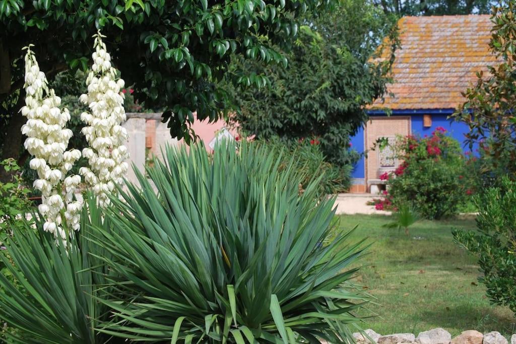 Traditional Camargue Appartement Arles