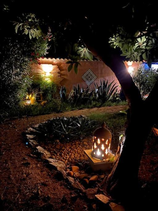 Appartement Traditional Camargue Arles