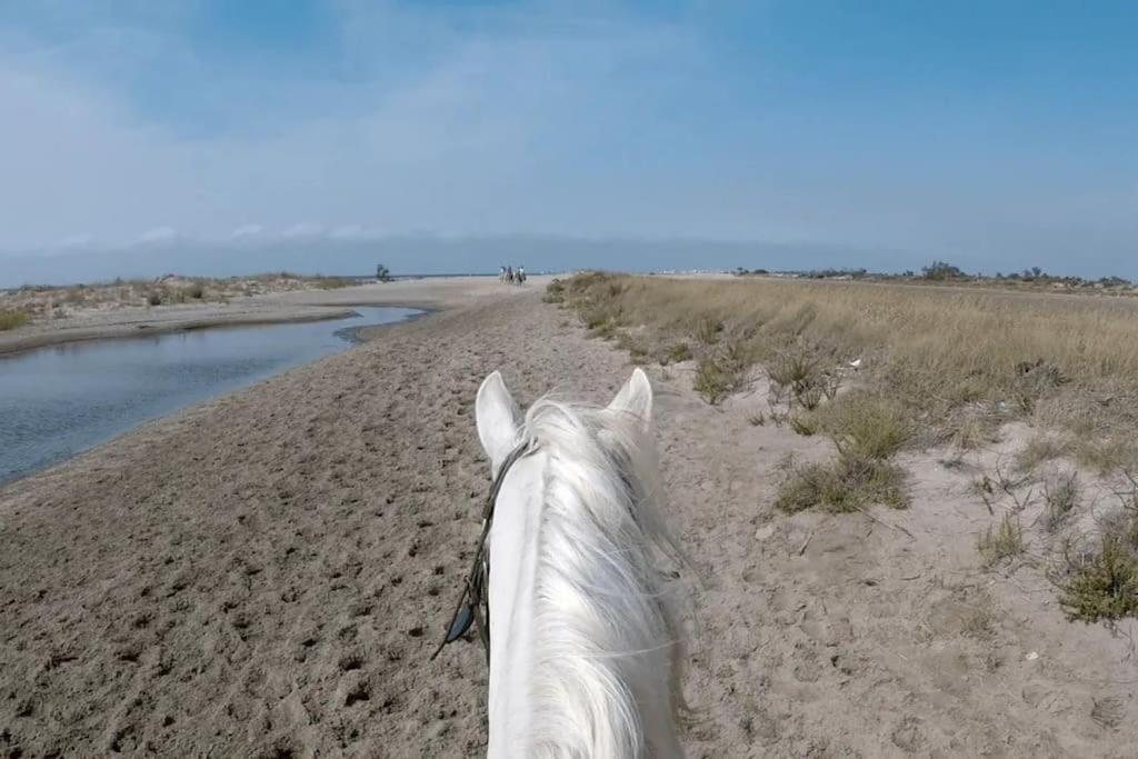 Appartement Traditional Camargue *